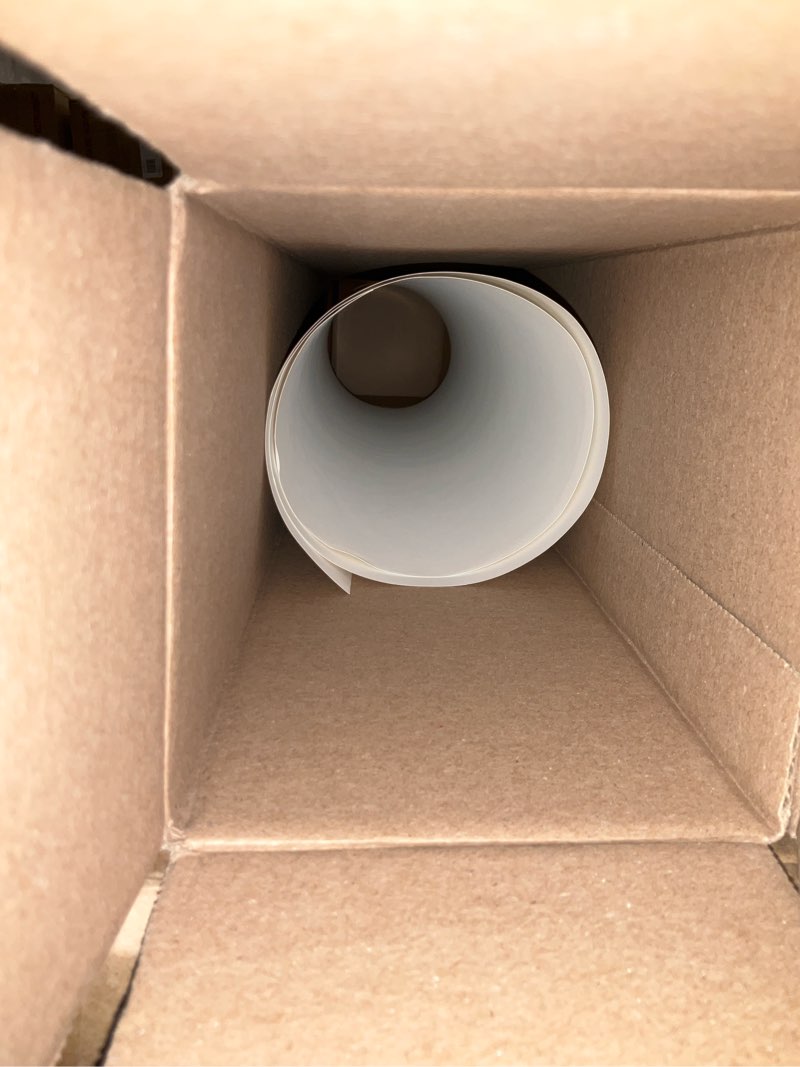 Foliage Botanique I Poster Print - Turpin (21 x 36)