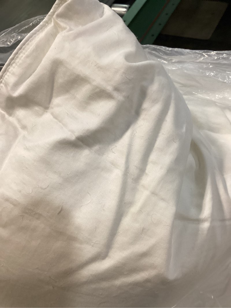 Condition photo showing Good Condition for luxe goose down pillow, standard, medium