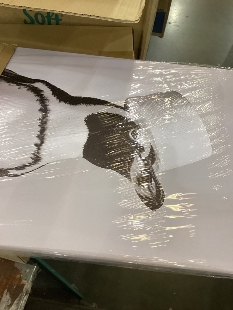 Canvas penguin picture