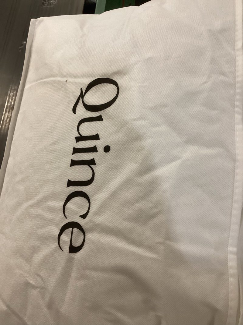 Condition photo showing As Is for quinngoose pillow medium