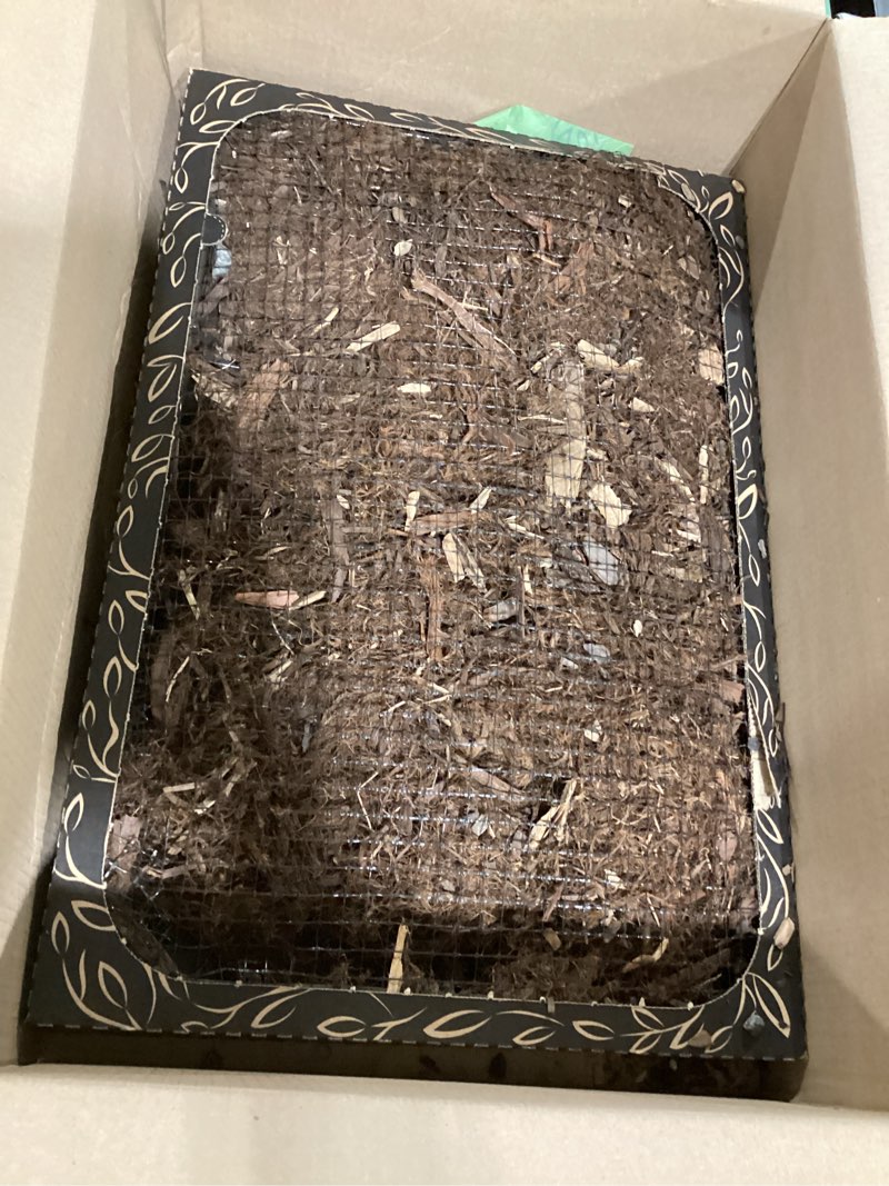 Condition photo showing As Is for Bark Potty Standard Dog Potty Training Box - Disposable, Long-Lasting Pee Pad Litter Replacement - Leak Resistant, Multi-Use, Odor Neutralizing, Indoor/Outdoor Toilet Tray Standard 24x16