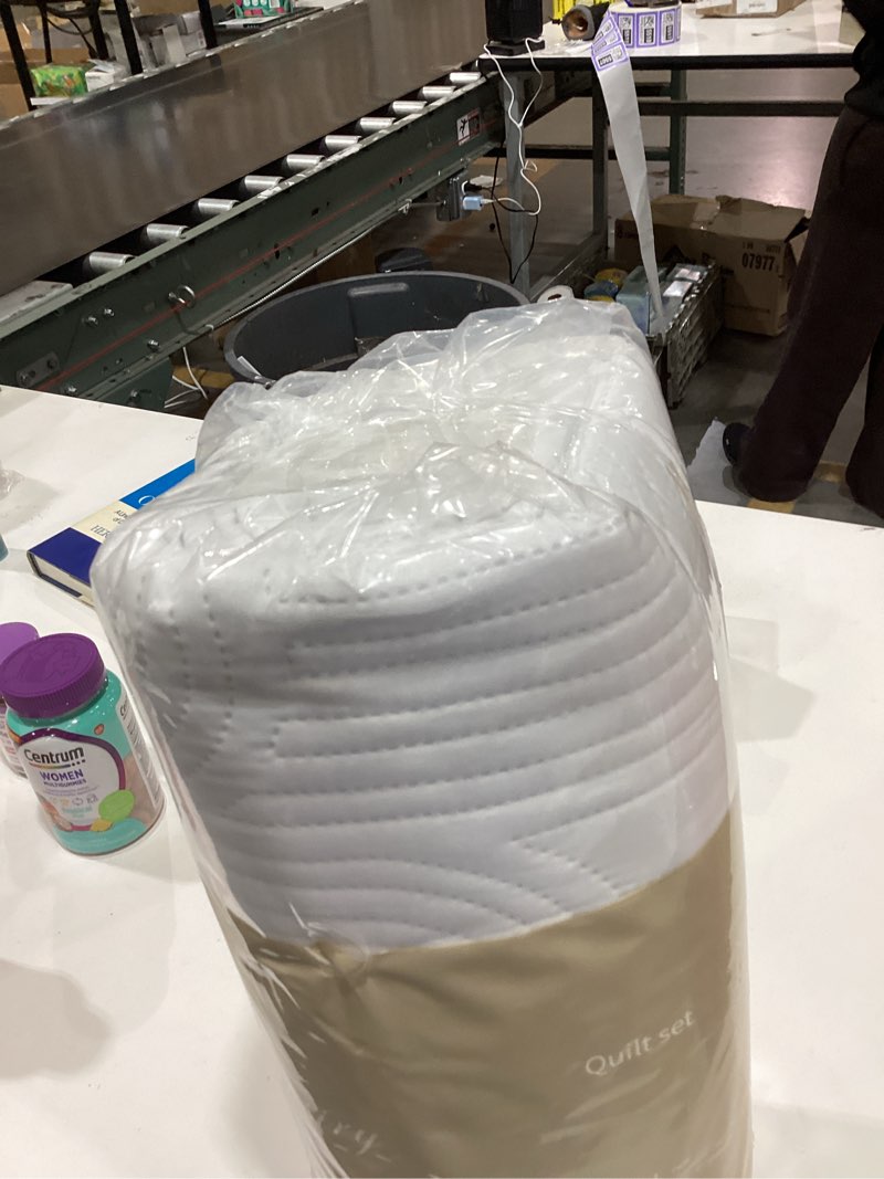 Condition photo showing As Is for Quilt set