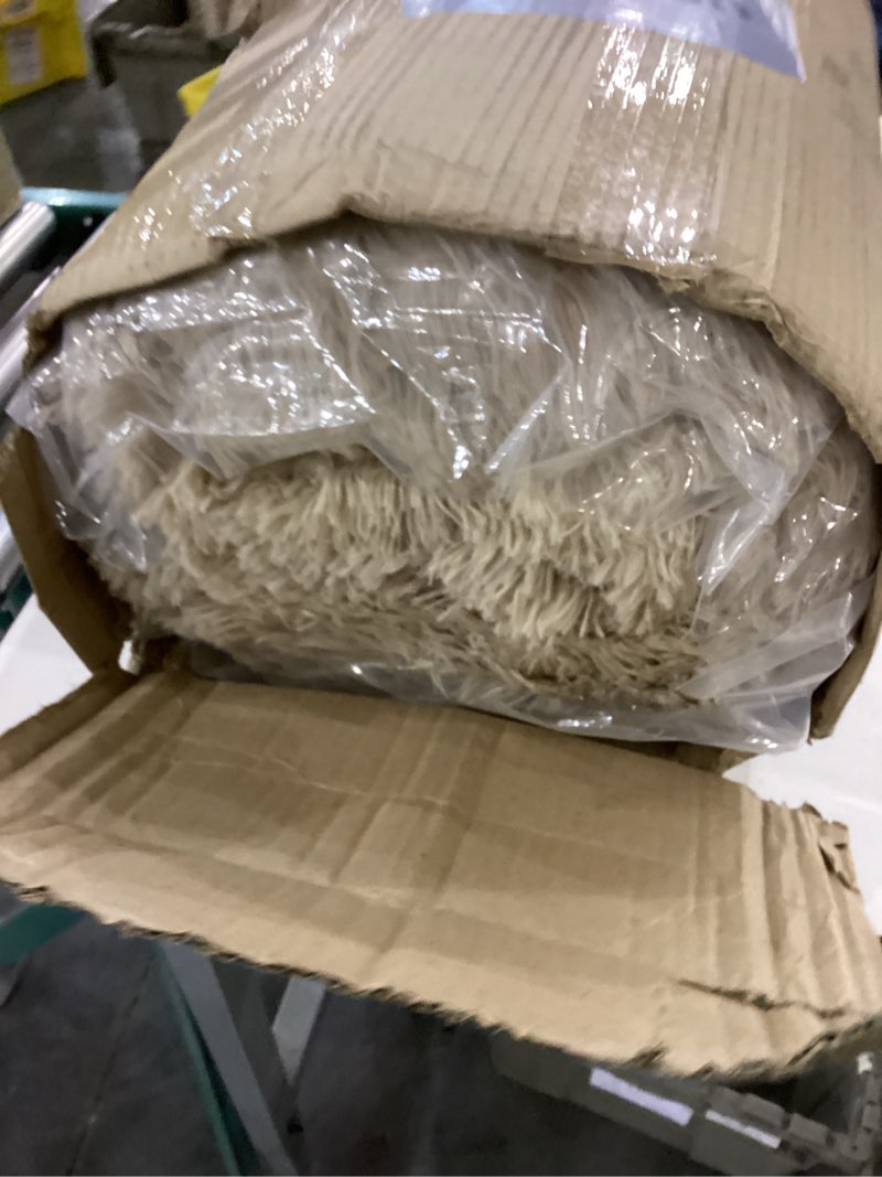 Condition photo showing New/Like New for Area Rug for Living Room 6x9, Ultra Soft Shaggy Area Rugs for Bedroom, Upgrade Non-Slip Plush Fuzzy Carpet for Bedroom Girls Boys Room Home Nursery Teens Modern Indoor Home Dorm Decor, Beige 6x9ft Beige