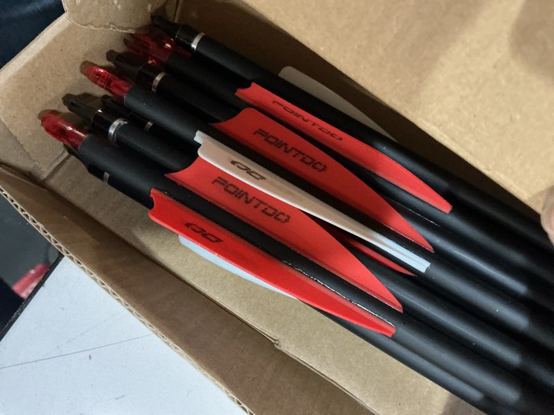 Condition photo showing Good Condition for Pointdo 28Inch Carbon Arrow Practice Hunting Arrows with Removable Tips for Compound & Recurve