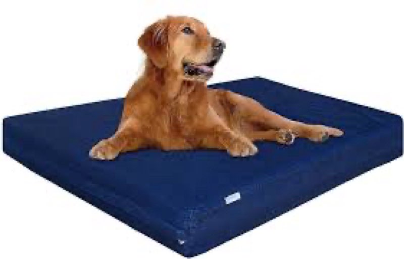( similarly Washable Orthopedic Large Dog Bed - Extra Large Dog Bed with Bolsters Removable Orthopedic Foam Supp