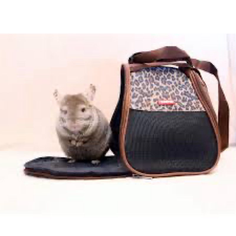 ZooPro Carry Bag (Large) - Durable & Comfortable Pet Travel Tote - Stylish & Functional - for Sugar Gliders, Hedgehogs, Rats, Chinchillas, Guinea Pigs, Rabbits, Hamsters & Other Small Pets