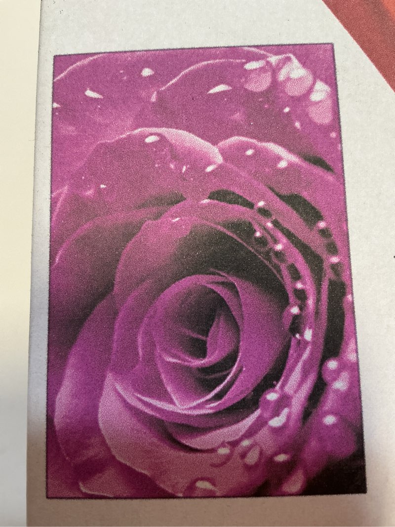 TUNDJ - Large Purple Floral Wallpaper for Bedroom Rose Flower Wall Mural?Not Peel and Stick?