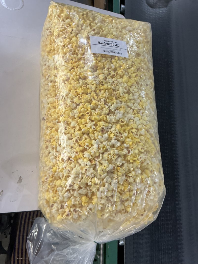 Popcorn Bag