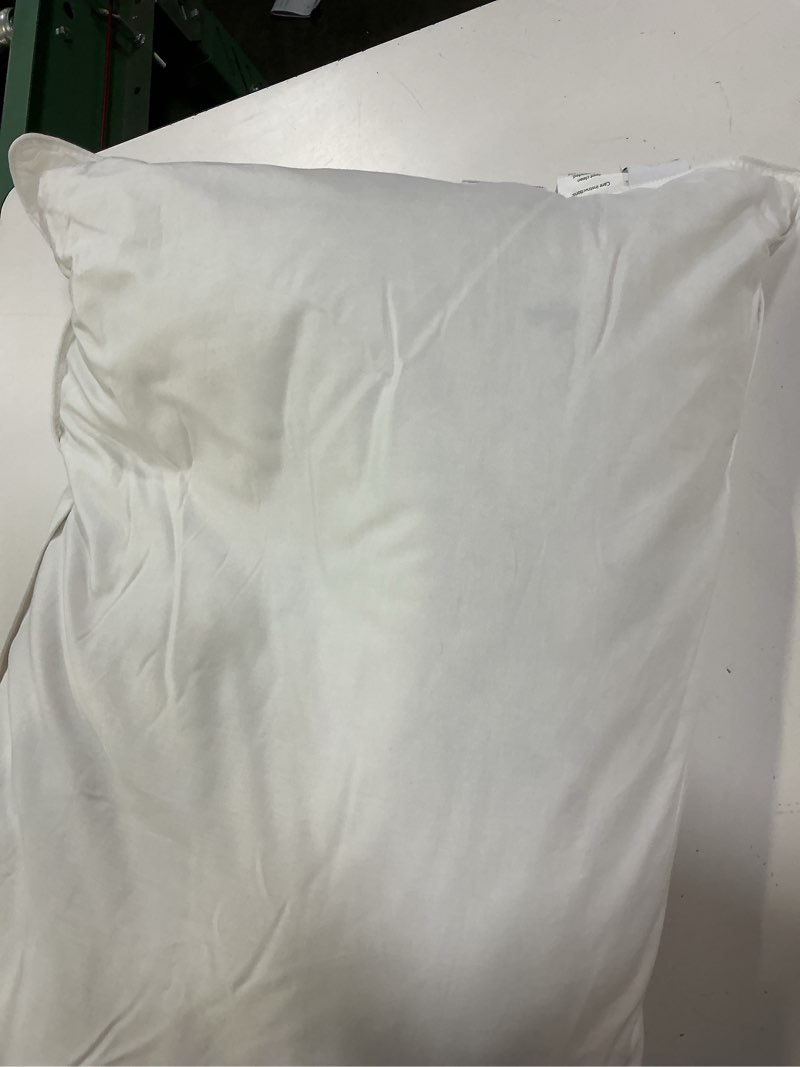 Condition photo showing Good Condition for premium down pillow, king, medium