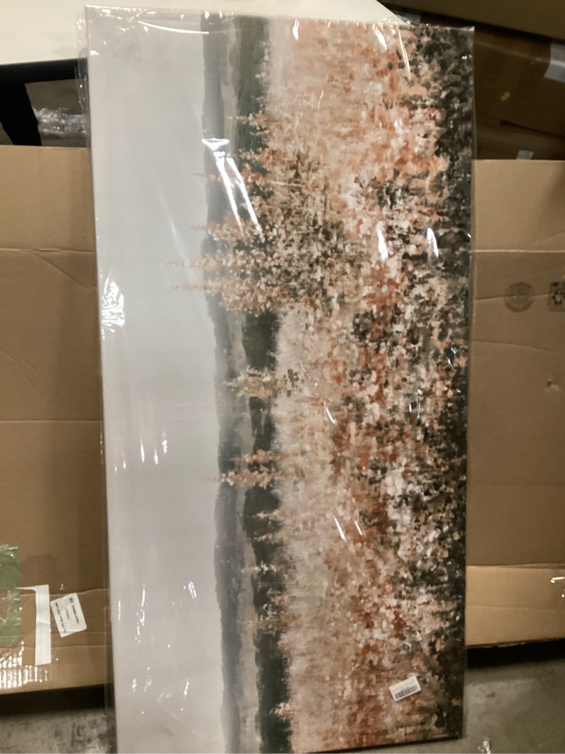 Condition photo showing Good Condition for GAIDUOMAI Farmhouse Canvas Wall Prints for Home Flower field Artwork Vintage Botanical Wall Art for Living Room Bedroom Office Decorations 24"x48" 48"L x 24"W GAIDUOMAI-Vf60120