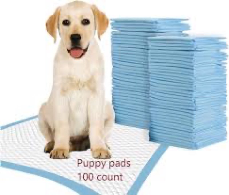 Best Pet Supplies XL Puppy Pads 100 Count - Super Absorbent Dog Training Pads, Quick-Dry, Odor Contr
