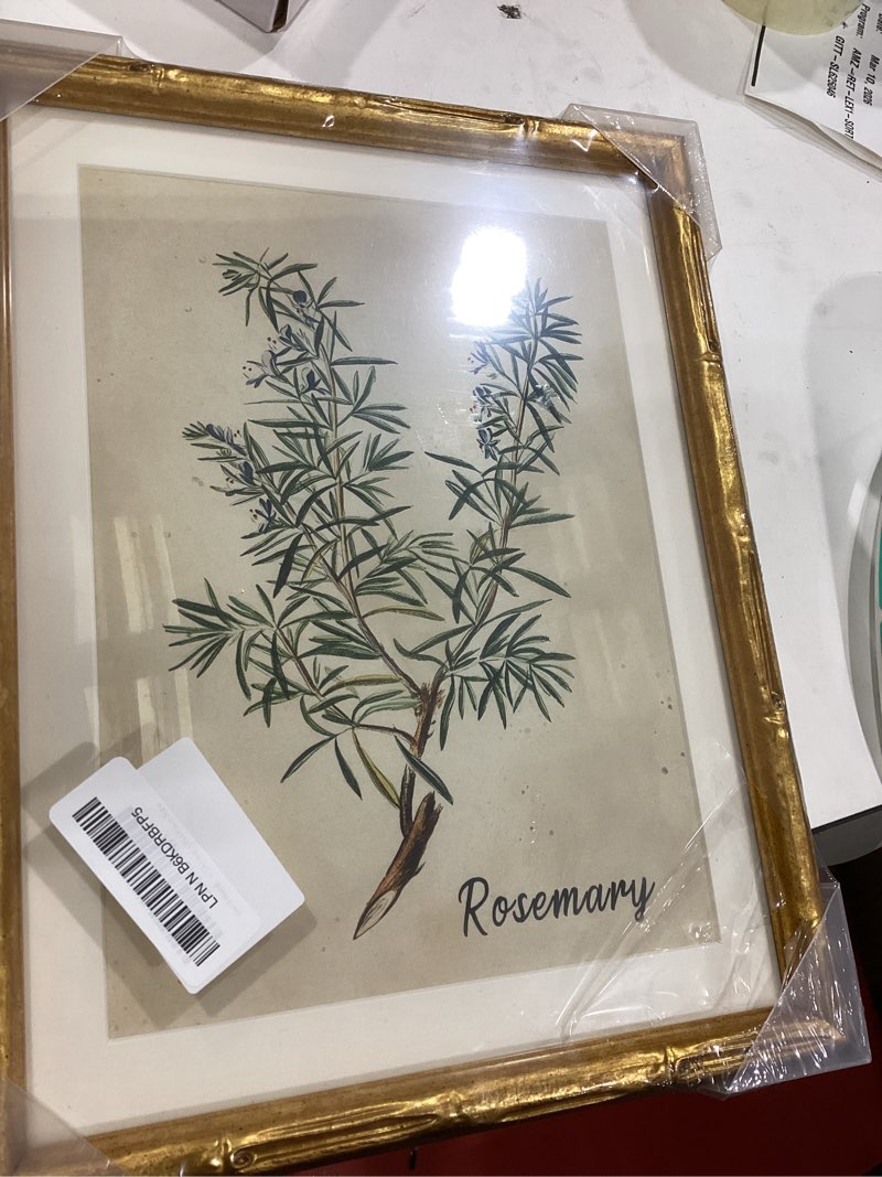 Condition photo showing Good Condition for InSimSea Gold Bamboo Framed Canvas Wall Art, Plants Fern Botanical Paintings, Antique Vintage Picture Frame with Mat, Victorian Home Wall Decor for Living Room Kitchen Dining, 11x14inch Coriander 14"L x 11"W