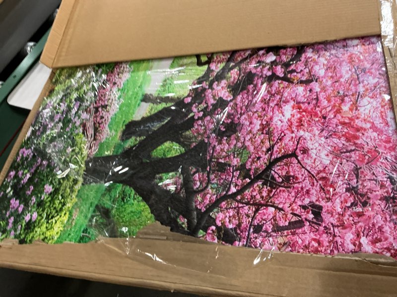 Condition photo showing Good Condition for Aibonnly Canvas Wall Art Painting Pink Cherry Blossoms 1 Piece Park Tree Forest Wallpaper Spring landscape Picture Poster Print Framed and Stretched Ready to Hang for Living Room Bedroom Artwork