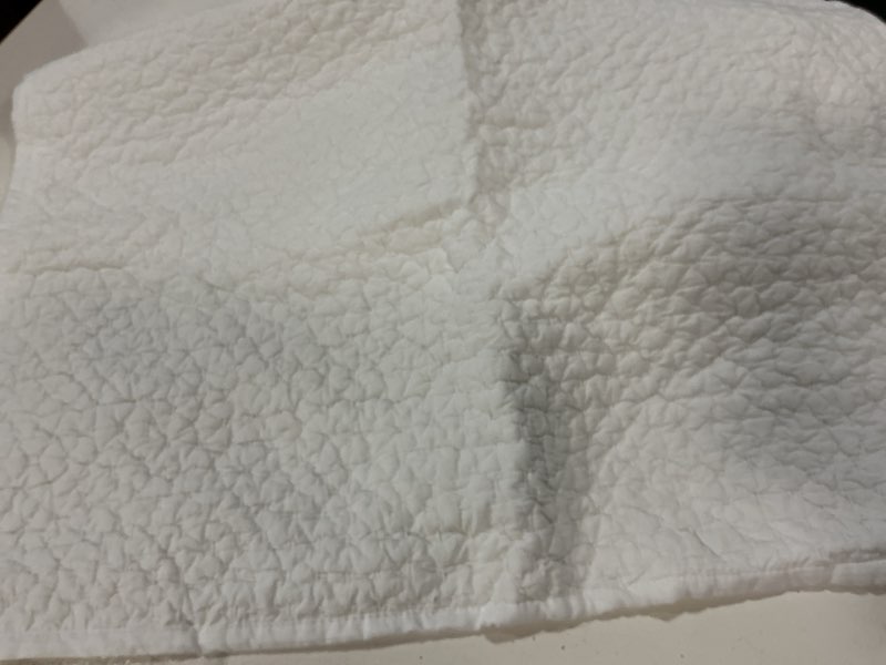 Condition photo showing Good Condition for organic cotton hand stitched quilted sham set standart