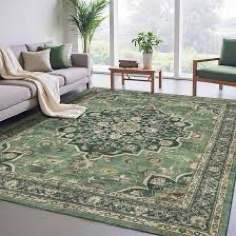 Husvaki Rugs for Living Room, Lightweight Low Pile Area Rug with Non-Slip Backing Soft Carpet for Be