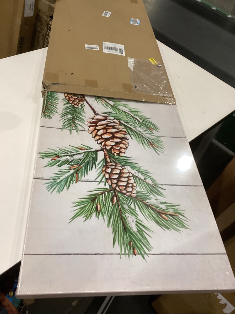 Condition photo showing Good Condition for iKNOW FOTO Pine Cones and Seeds on Canvas Prints Vertical 20x40in Botanical Wall Art Winter Pine Cones Framed Wall Art for Holiday Decor Ready to Hang Home Decoration