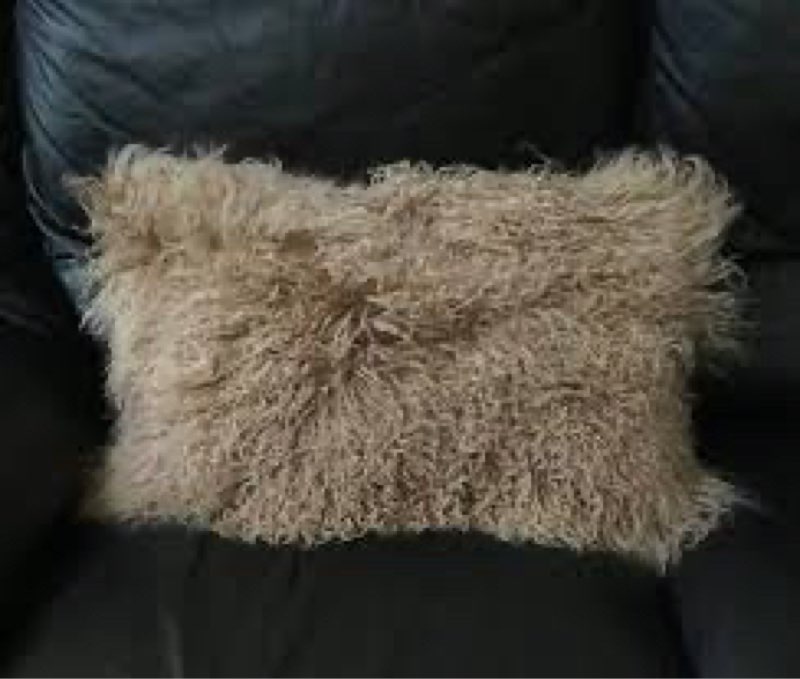 pillow cover