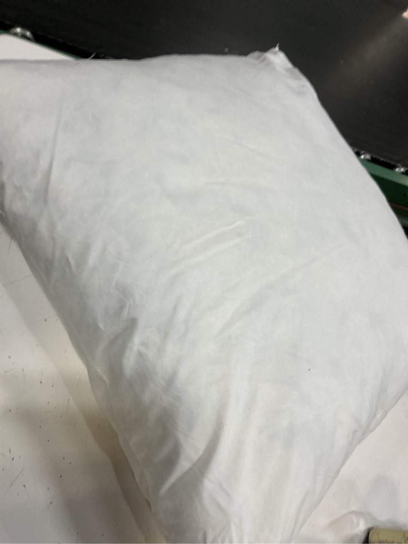 Condition photo showing Good Condition for premium feather pillow insert, 26x26, no color
