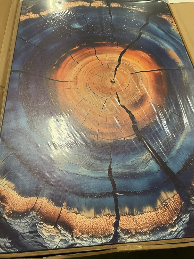 Condition photo showing New/Like New for painted tree rings - tree trunk growth rings 24x36 framed print, tree wall art, nature wall art, rustic cabin wall art, farmhouse wall decor, living room and office décor
