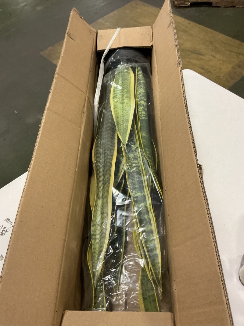 Condition photo showing New/Like New for Hollyone Artificial Snake Plant Potted, 28 Inch Faux Sansevieria Trifasciata Plants Large Tall Tropical Fake Snake Plants Tree in Black Pots for Home Office Room Patio Garden Indoor Outdoor Decor 2.5ft-black Pot-1pcs