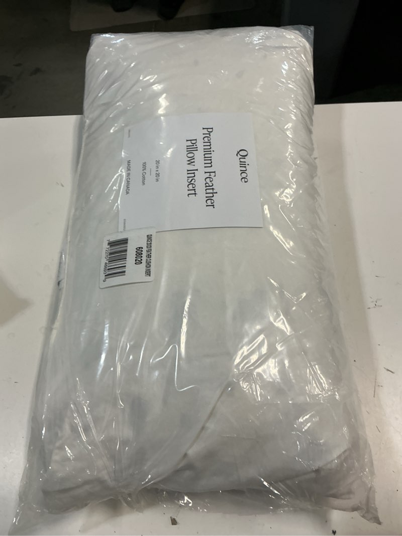 Condition photo showing Good Condition for quince premium feather pillow insert, 20x20, no color