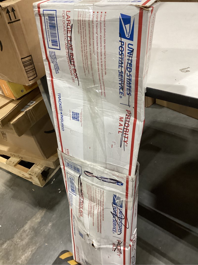 Condition photo showing Good Condition for cordless chainsaw