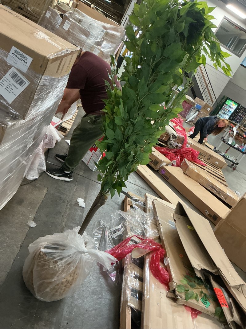 Condition photo showing As Is for 6ft artificial ficus tree with natural wood trunk and lifelike leaves, silk fake potted tree with wood branches