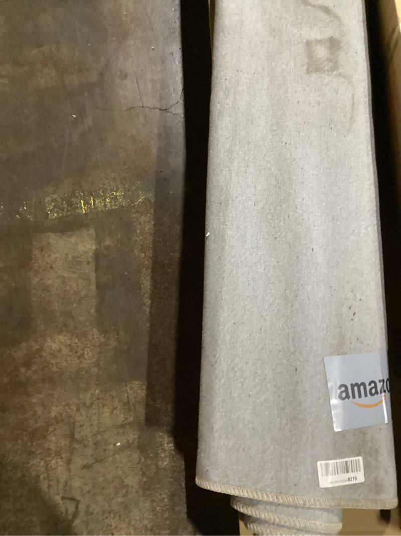 Condition photo showing Good Condition for Loloi Amber Lewis x Billie Collection