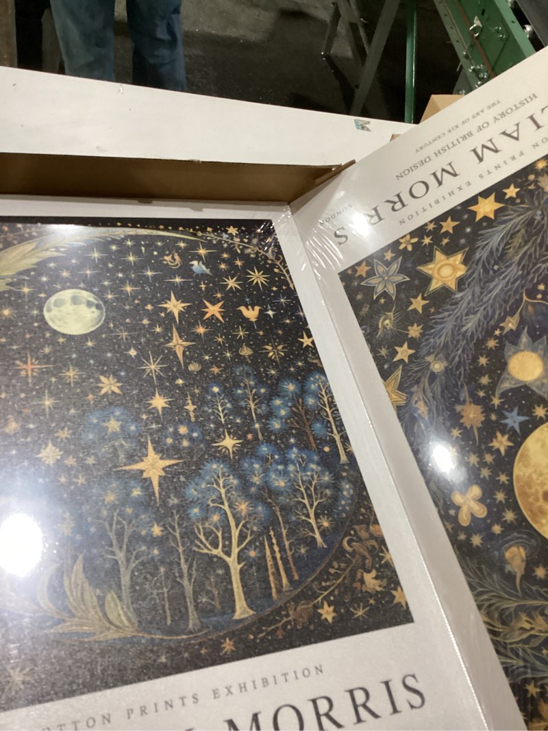 Condition photo showing New/Like New for WRFON William Morris Canvas Wall Art, Vintage Gold Moon Wall Decor, Dreamlike Stars Poster Prints, Retro Botanical Aesthetic Pictures for Bedroom Living Room Office Framed Ready to Hang 12"x16"x3 Morris Star 16"L x 12"W
