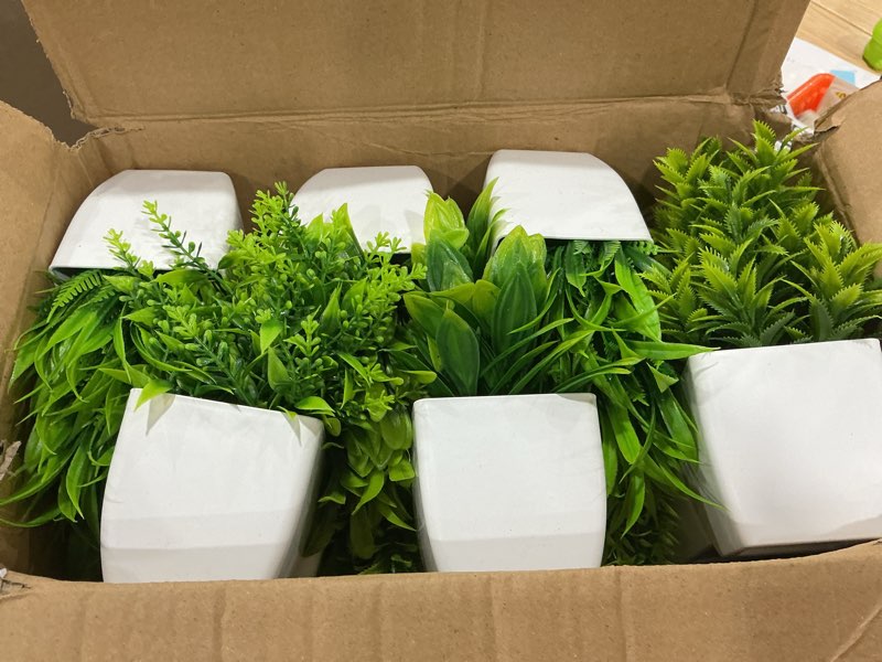 Condition photo showing Good Condition for tigeen 24 pots small fake plants mini eucalyptus potted artificial plants greenery eucalyptus rosemary gladiolus magnolia aloe faux plants for home indoor room decor (stylish style)