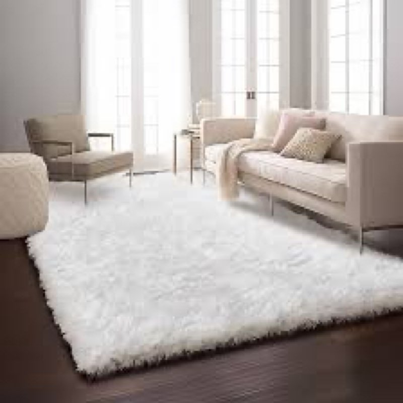 Ophanie 5x8 Rugs for Living Room,White,Large Fluffy Fuzzy Plush Shag Shag Comfy Soft?Non-Slip Indoor
