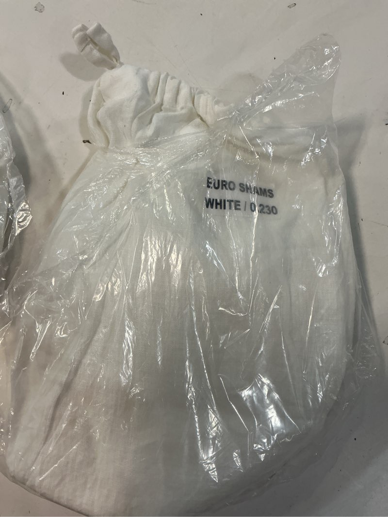 Condition photo showing New/Like New for quince euro white sham set