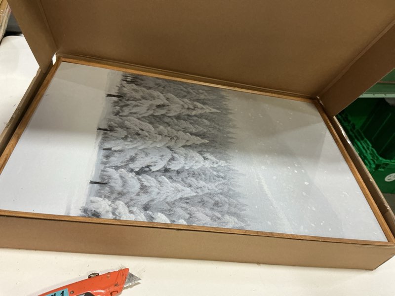 Condition photo showing Good Condition for CHDITB Snowy Christmas Pine Trees Framed Canvas Wall Art(16"x24"), 3 Panels Winter Forest Landscape 