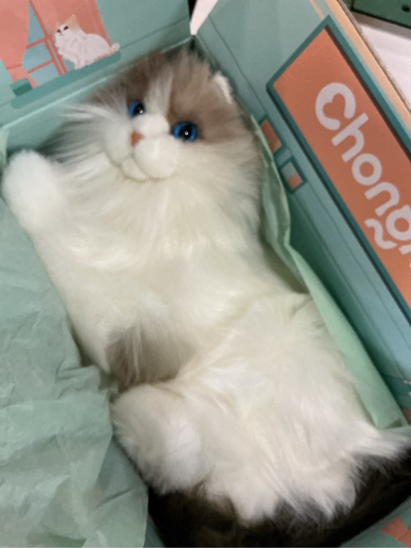 Condition photo showing New/Like New for chongker interactive companion robot cat pets, handmade weighted stuffed animals, cat plush toy with voice response, realistic heartbeat and purring, ragdoll cat white cat