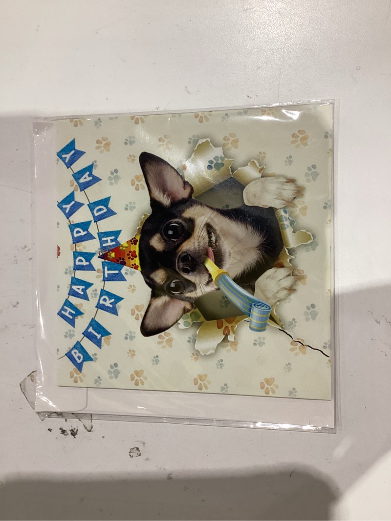 Condition photo showing New/Like New for 3D Pop-Up Black Chihuahua Birthday Card - Chihuahua with Cake Celebration, Whimsical Happy Birthday Greeting for Black Dog Lovers