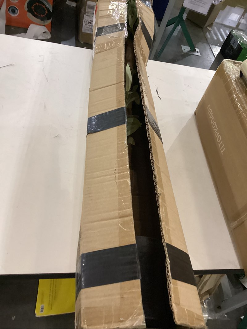 https://lotting-media.assets.bidfta.com/lotting_24ba6acc-6bc0-4803-b386-200816990cd6