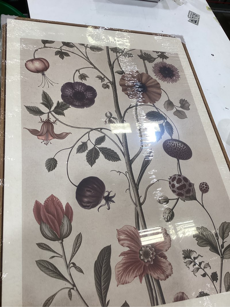 Condition photo showing Good Condition for large framed vintage botanical wall art set of 2, neutral antique floral canvas painting prints artwork for walls, retro rustic farmhouse flowers pictures for living room bedroom wall decor, 24x36 in 24" w x 36" h x 2pcs muted earth