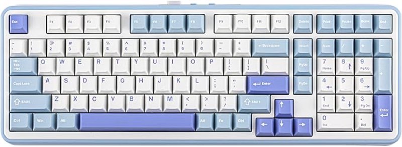 EPOMAKER TH99 Tri-Mode Wireless Mechanical Keyboard with 8000mAh Battery, Hot Swappable Custom RGB Gaming Keyboard with Numpad, Gasket Creamy for PC/Mac/Office (Blue&White)