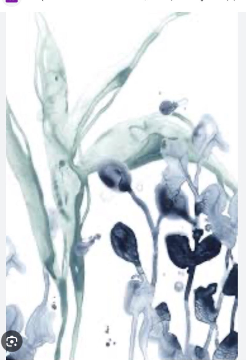Blue kelp I by june erica vess painting print size 36x24