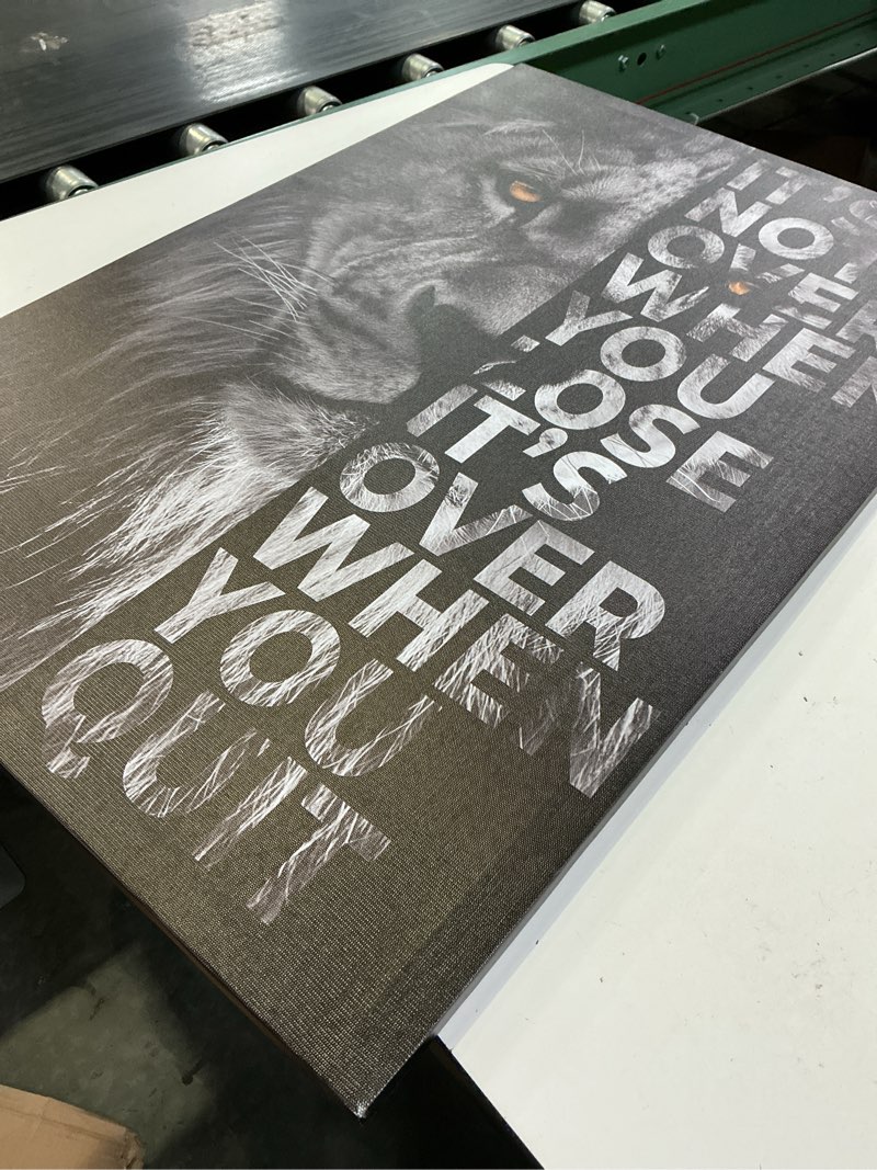 Condition photo showing New/Like New for lion head prints canvas inspirational wall art black and white animals poster motivational quote picture for office decor framed ready to hang 24x36inches