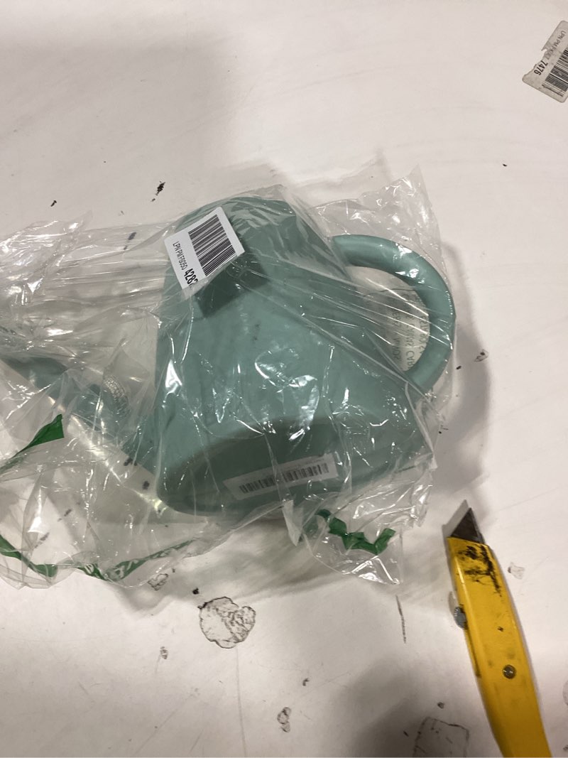 Condition photo showing As Is for plant watering can - plastic indoor and outdoor - 1/2 gallon - green light green