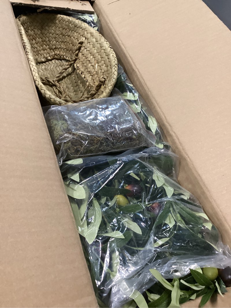 Condition photo showing New/Like New for GAOMON Artificial Olive Tree 6FT(72in) Tall Faux Silk Olive Trees with Backet for Home Office Living Room Decor Indoor Fake Potted Tree with Handmade Seagrass Basket and Lifelike Fruits 6 Ft Olive Tree With Basket 1