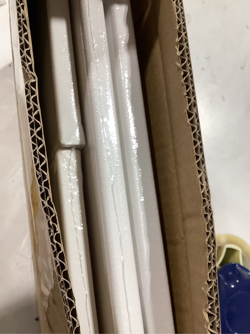 Condition photo showing New/Like New for gotideal canvas for painting, 14 pcs muti pack stretched painting canvas, blank paint canvases for acrylic, oil, art supplies for artists, adults 4x4,4x6, 5x7, 8x10,9x12, 11x14 set of 14 white multi pack-14 pcs