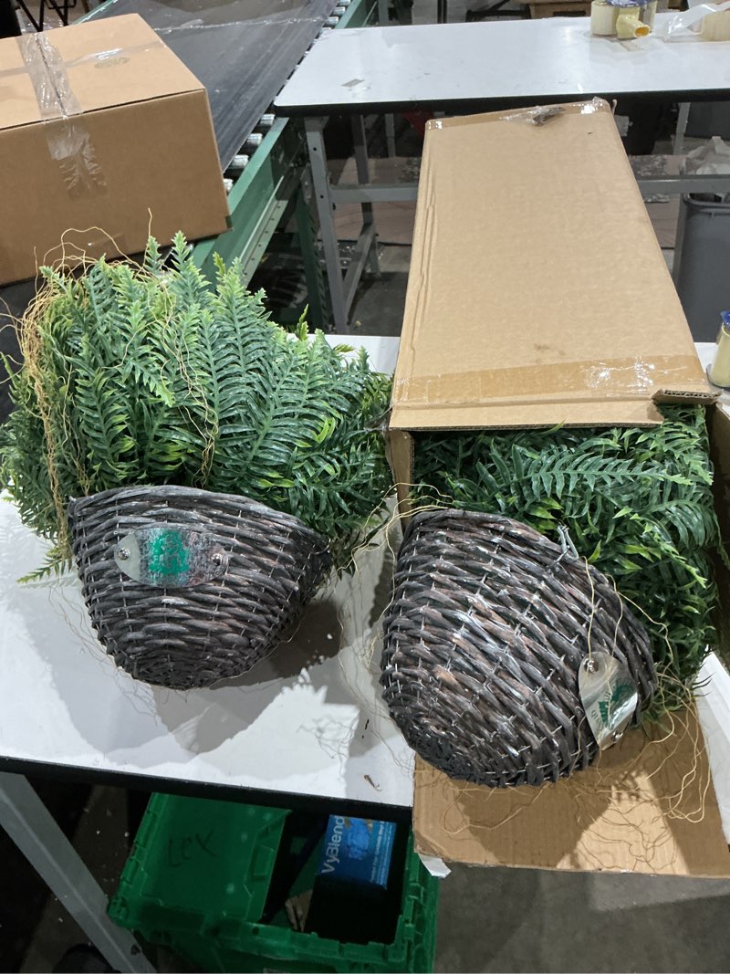 Condition photo showing As Is for outdoor fake hanging fern – artificial hanging ferns 2 pack, large faux boston fern bushes, uv resistant outdoor hanging plants for front porch, patio & indoor decor green