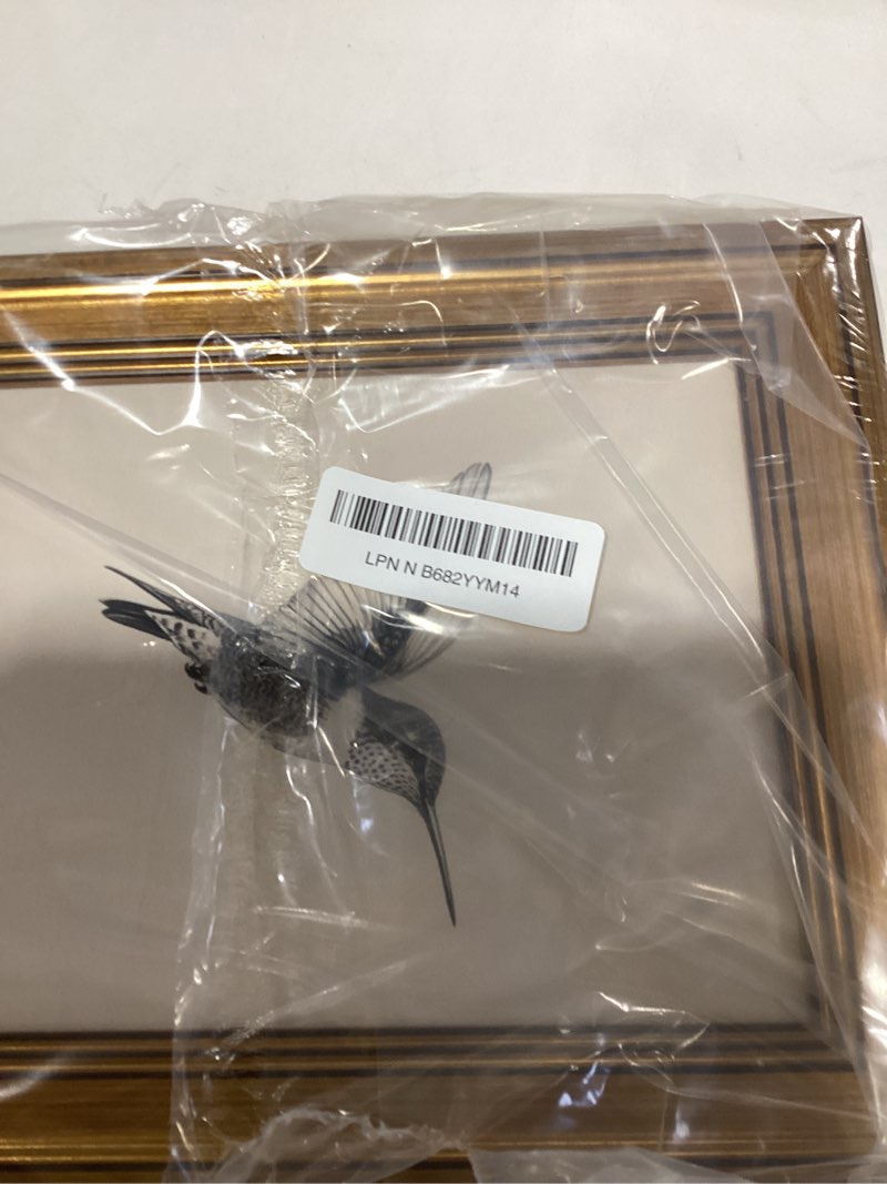 Condition photo showing New/Like New for VIYYIEA Vintage Gold Framed Wall Art for Living Room, Birds Canvas Prints Home Decor, Sketch Painting Picture, Bedroom Wall Decor Gifts for Friends or Family -?Hummingbird?-(10L x 8W) ?Hummingbird? 10"L x 8"W