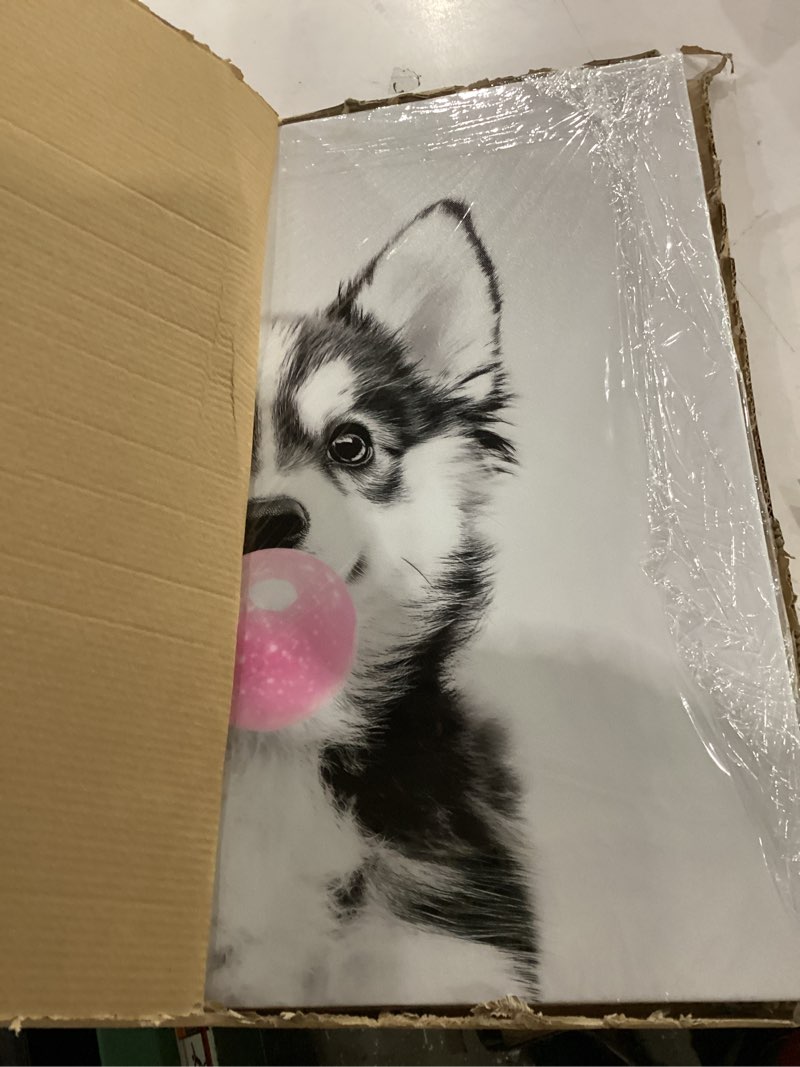 Condition photo showing New/Like New for ypxzzj black and white dog canvas wall art, animal dog picture prints wall art, cute puppy poster for living room nursery bedroom room home decor framed ready to hang (20''x20'') pink dog01 wrapped canvas 20"l x 20"w