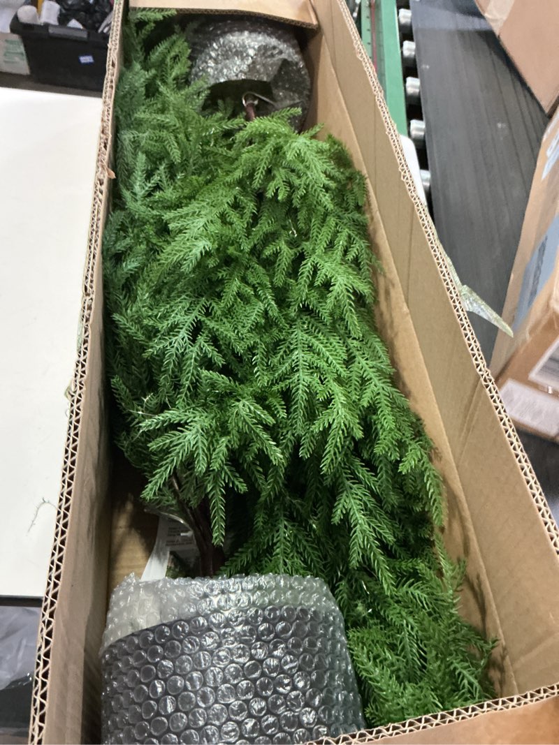 Condition photo showing New/Like New for 4FT Pre-Lit Artificial Norfolk Pine Christmas Tree – Realistic Potted Tree with 100 LED Lights & 8-Function Battery Box, Pre-Assembled Faux Holiday Décor for Indoor Use (2)