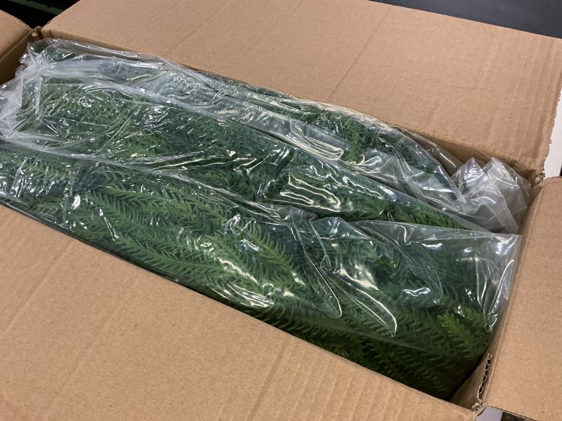 Condition photo showing Good Condition for 3 Pcs Artificial Norfolk Pine Garlands Christmas, 9 FT Dense Real Touch Winter Pine Garland Ornament, Green Artificial Greenery Garland for Table, Mantle, Wall, Indoor, Outdoor Christmas Decorations Norfolk Garland 9 FT-3 PCS