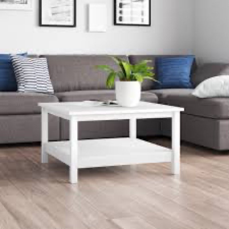 cotham 4 legs coffee table with storage