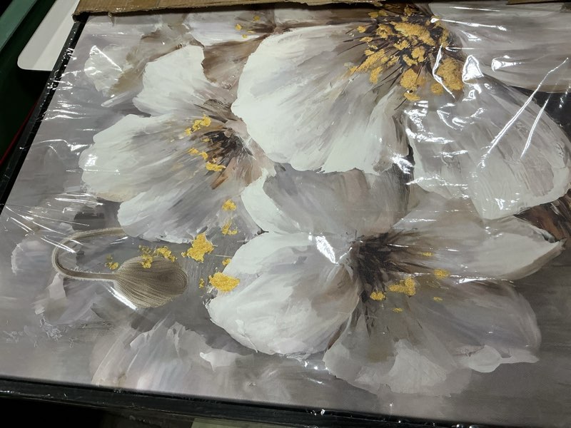 Condition photo showing Good Condition for Flower Pictures Wall Art for Bedroom Women - White Canvas Wall Art for Living Room - Girls Room Decor Ready to Hang Size 20" x 40" 40"L x 20"W White